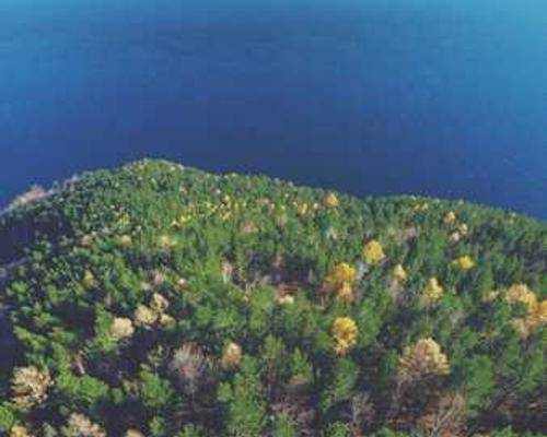 Hero image for blog showing insights and education